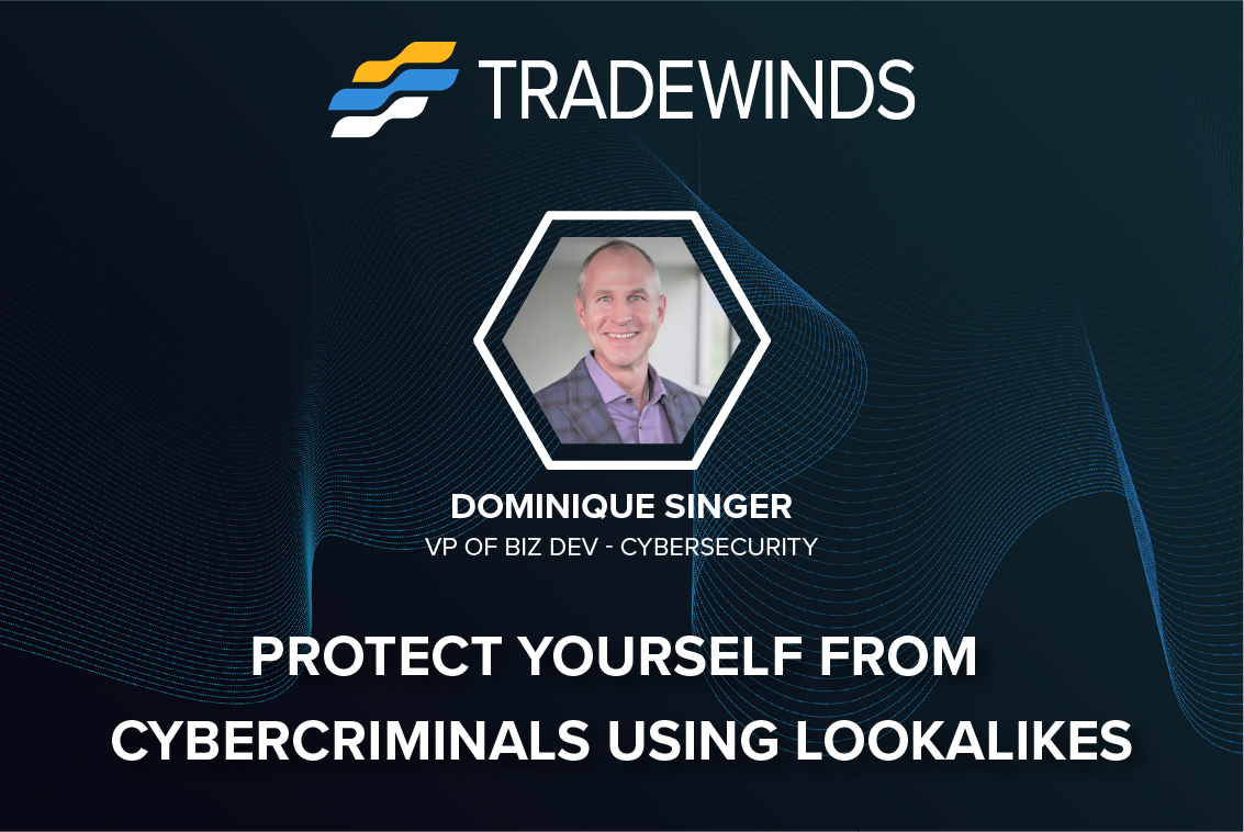 Protect Yourself From Cybercriminals Using Lookalikes